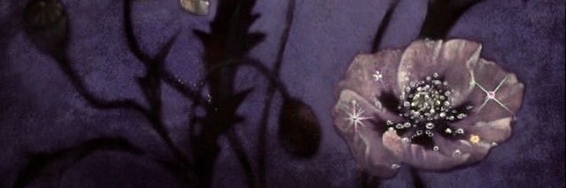 n8yla's profile banner image