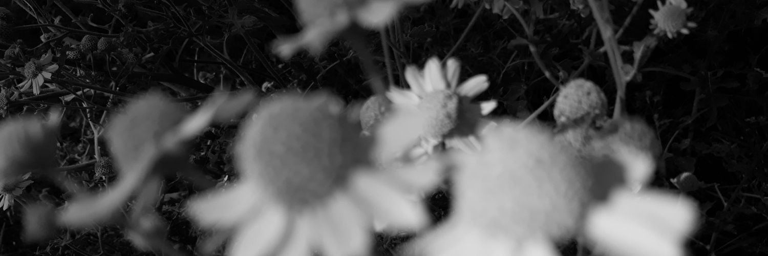 popsyeee's profile banner image