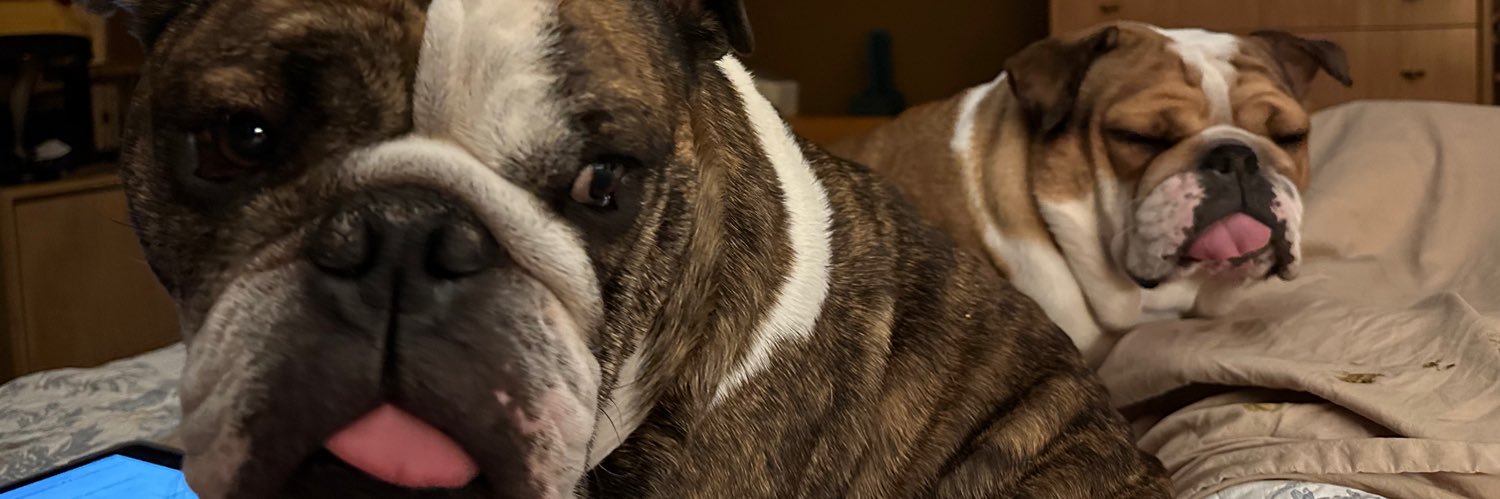MrBULLIE banner