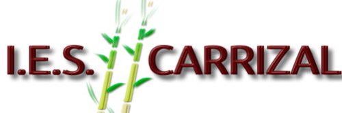 IES Carrizal banner