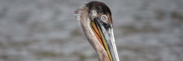 tomkisken Profile Banner