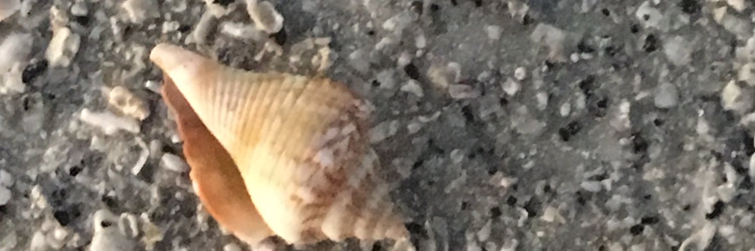 Margaret Schneider banner