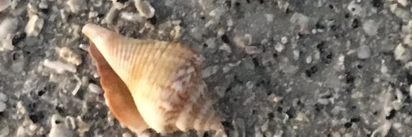 ProfMSchneider Profile Banner