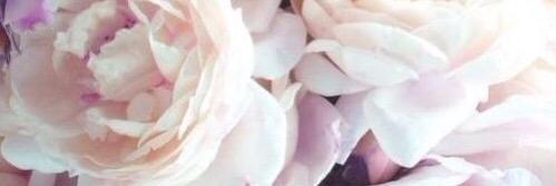 raphout's profile banner image