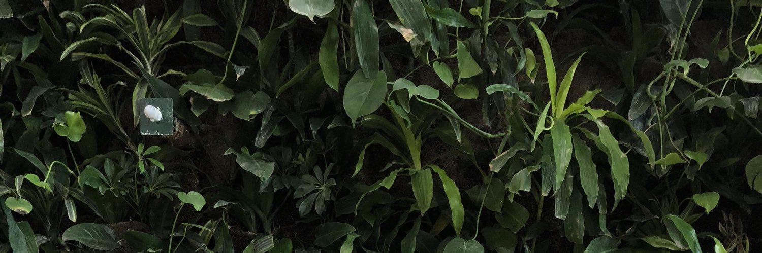 DelvaJade's profile banner image