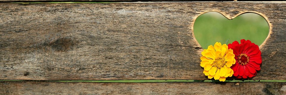 thewise343245's profile banner image