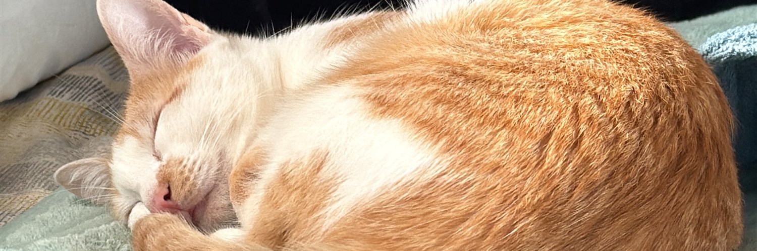 marcelopalazim's profile banner image
