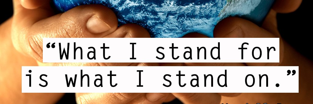 Erin Ely ☮️ banner