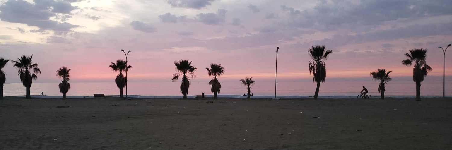 merbilen's profile banner image