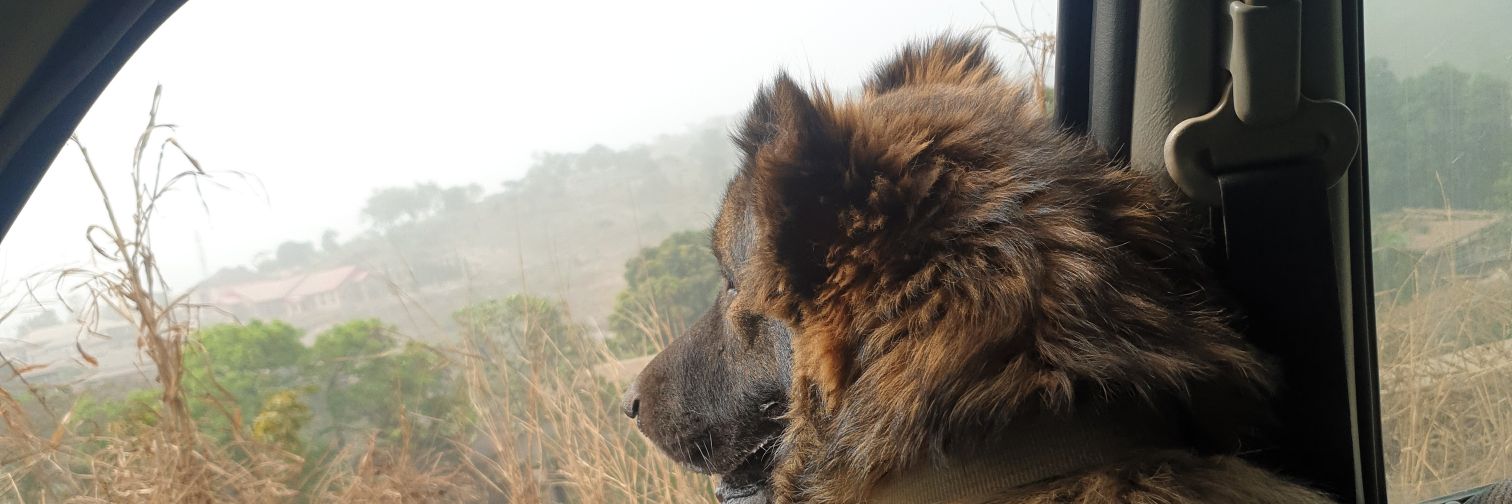 Akamnnamdi's profile banner image