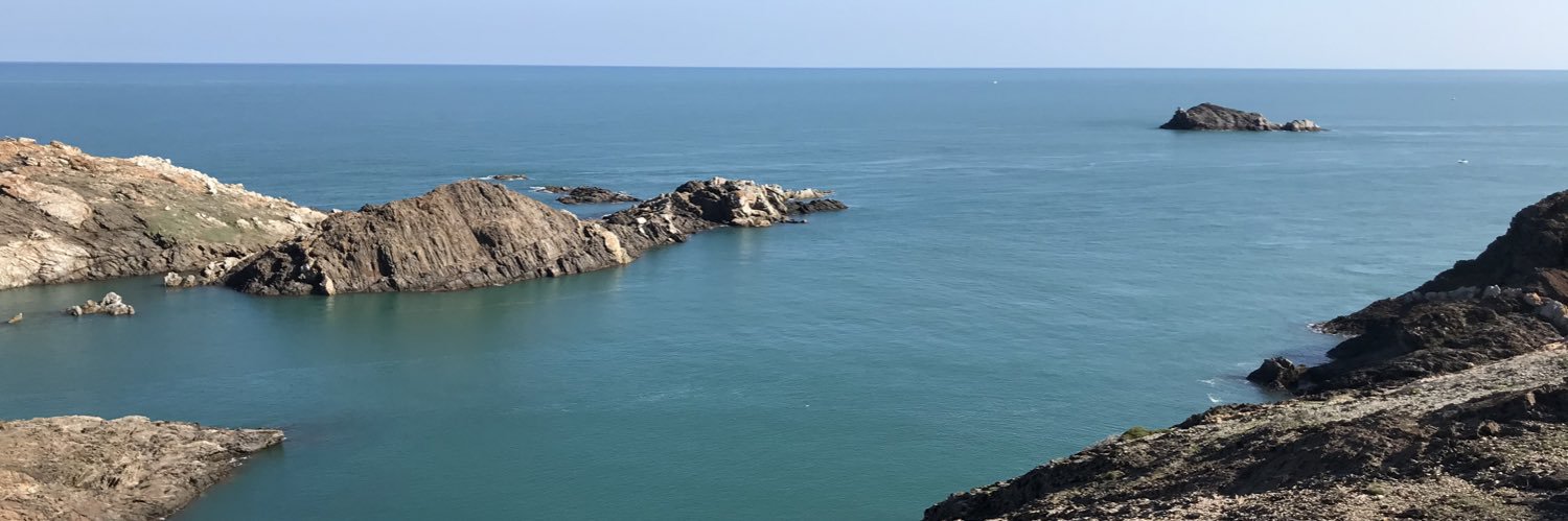 Anna Pallisera banner