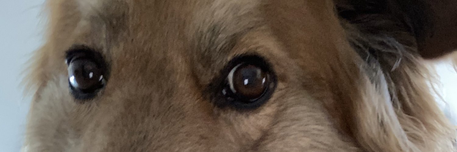 jones043's profile banner image