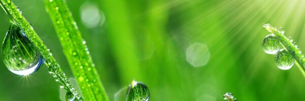 CropLifeOZ Profile Banner