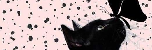 alineroncada's profile banner image