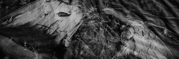 metarslan_ Profile Banner