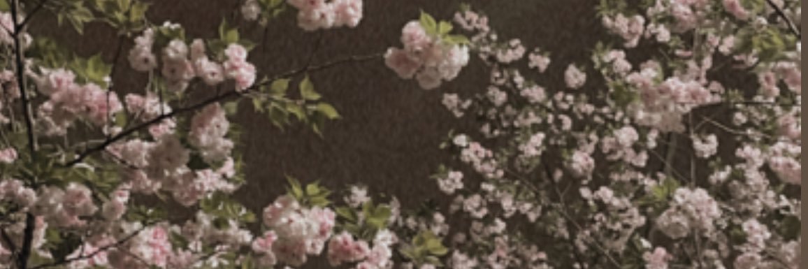 JJ_kmo's profile banner image