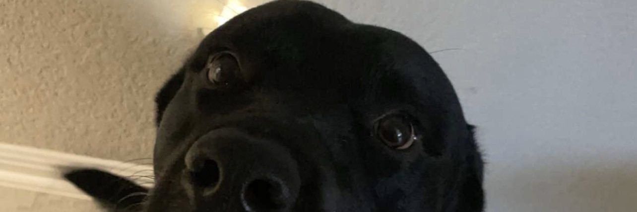 michael_dlrosa's profile banner image