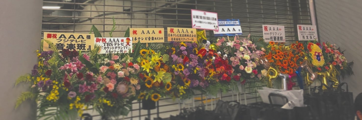 mai_AAA2005's profile banner image