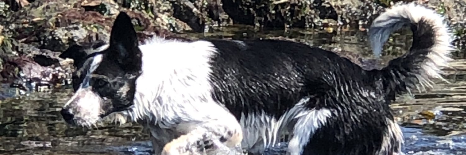 Chris Atchison banner