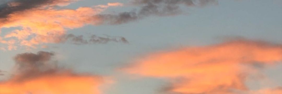 IrisAlonso_'s profile banner image