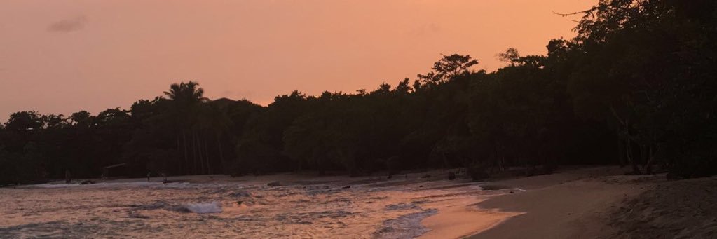 AlextheGreat125's profile banner image