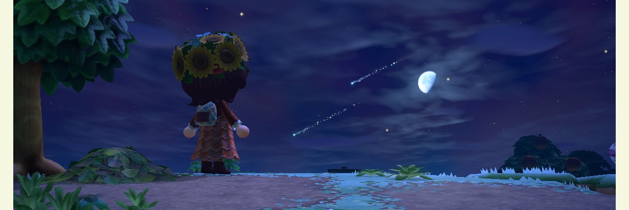 Sketch238's profile banner image