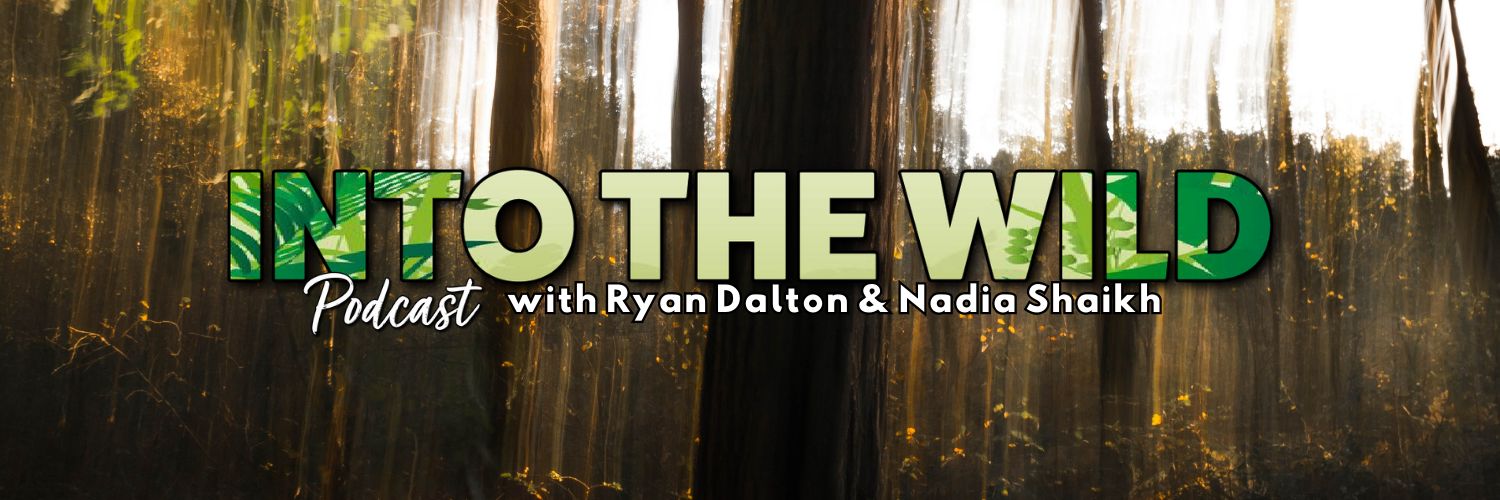 Into The Wild Podcast's banner