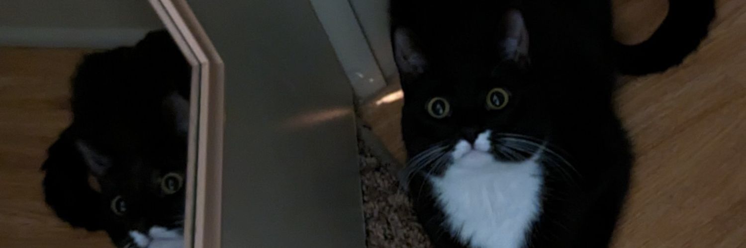 duchhjess's profile banner image