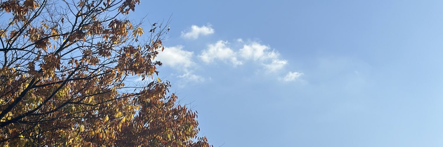 iamempty_y's profile banner image