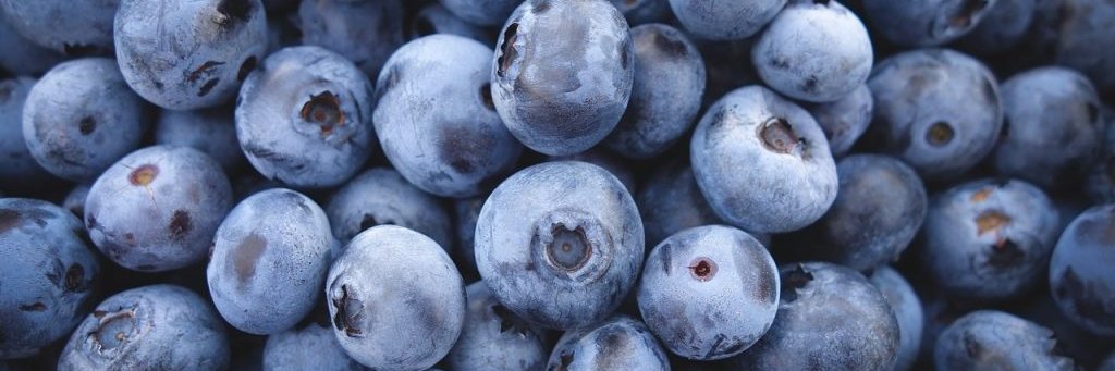 Blueberry__Lane's profile banner image