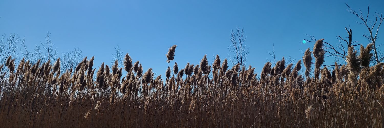 Dan Harbridge (He/Him) banner