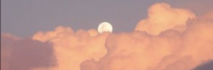 suki8811's profile banner image