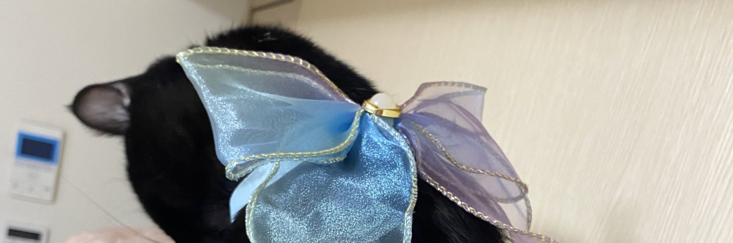 1227choc's profile banner image
