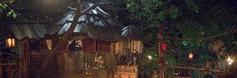 survivorbev's profile banner image