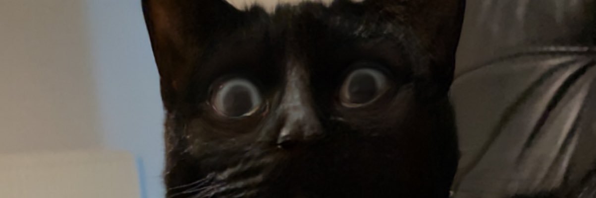 adam hewing-everitt banner