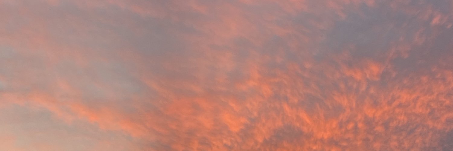 lulemaclean's profile banner image