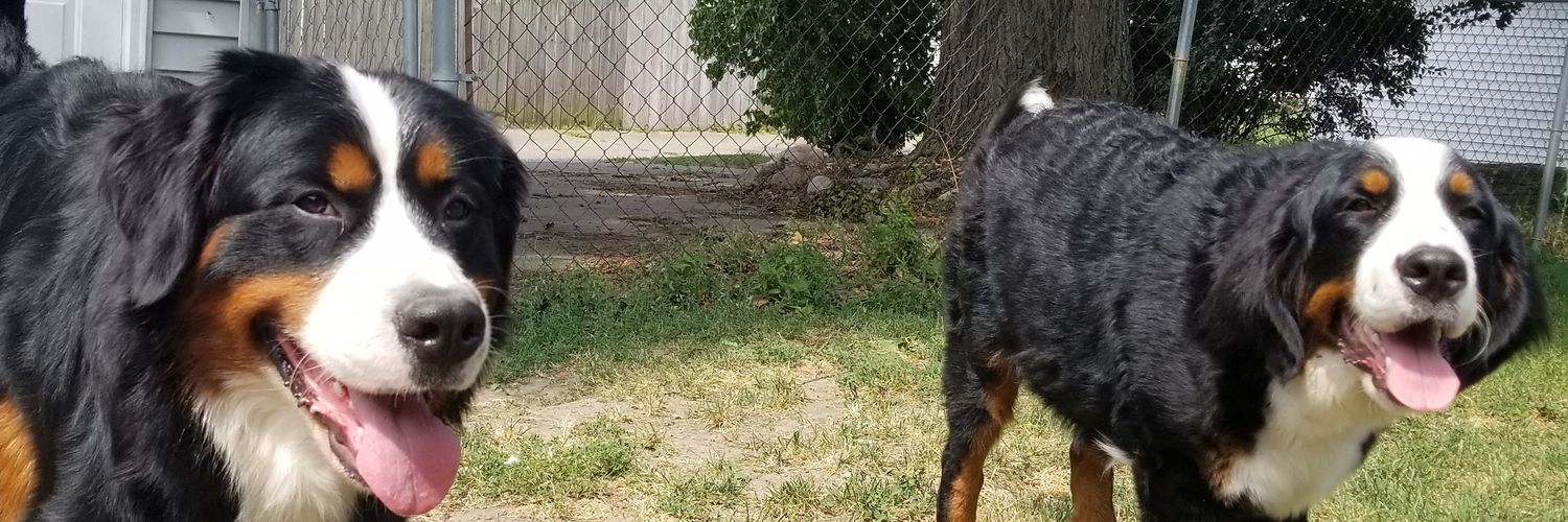shelbsL_'s profile banner image
