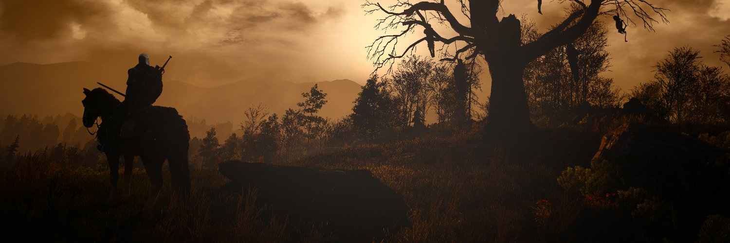 RBahamondev's profile banner image