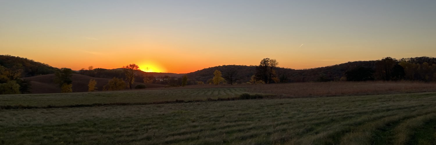 burmanbrady's profile banner image