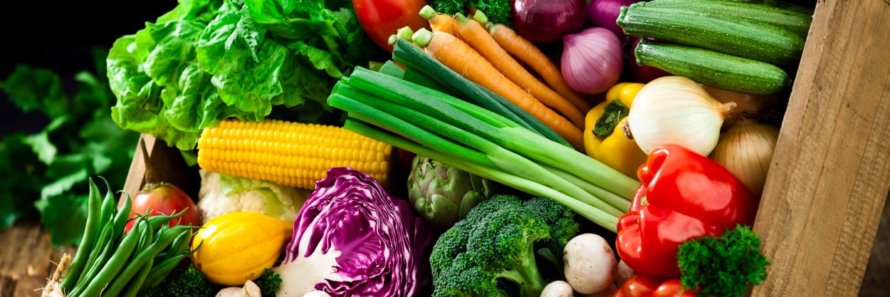 Vegan Insight banner