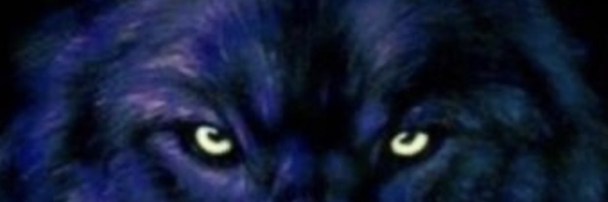 Wolfm1696's profile banner image