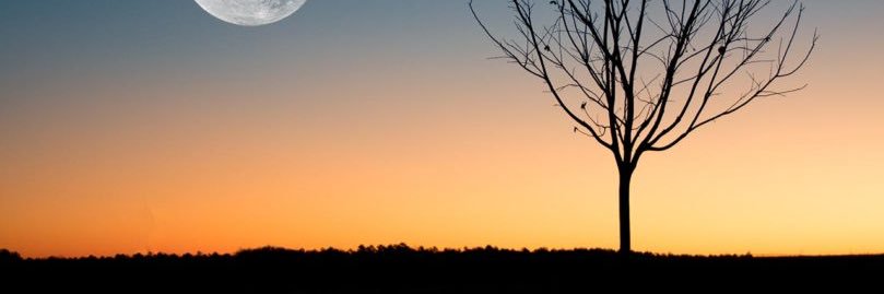 sasha_dbr's profile banner image