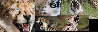 Brainfog1's profile banner image