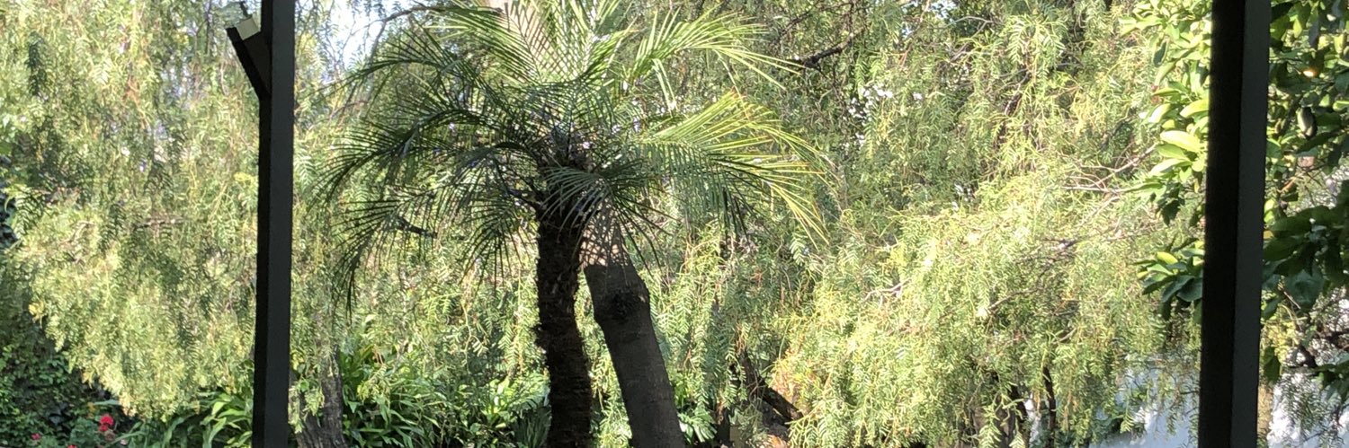 Jardines P 1960 banner