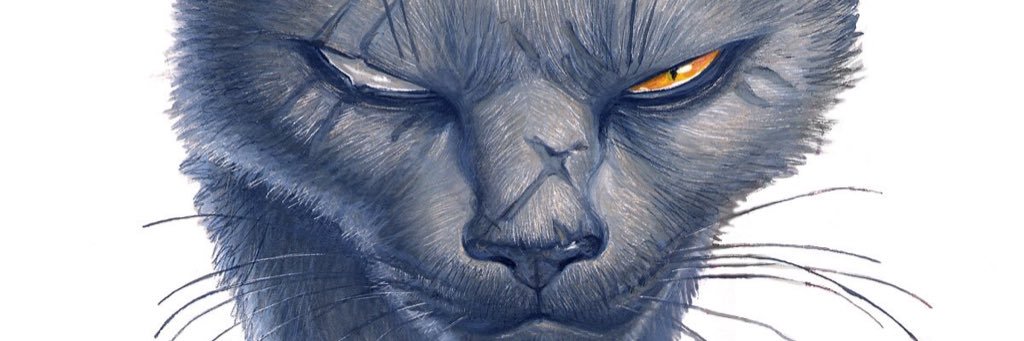 EucridsLair's profile banner image