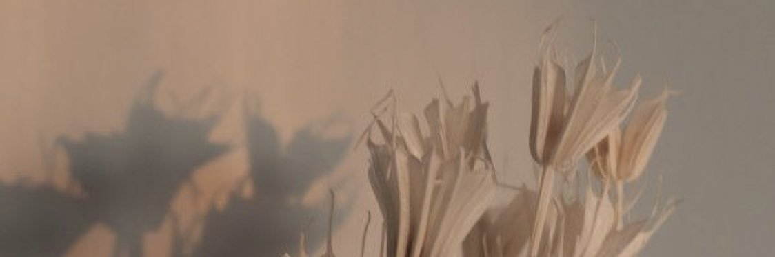 taylorrr_shay's profile banner image