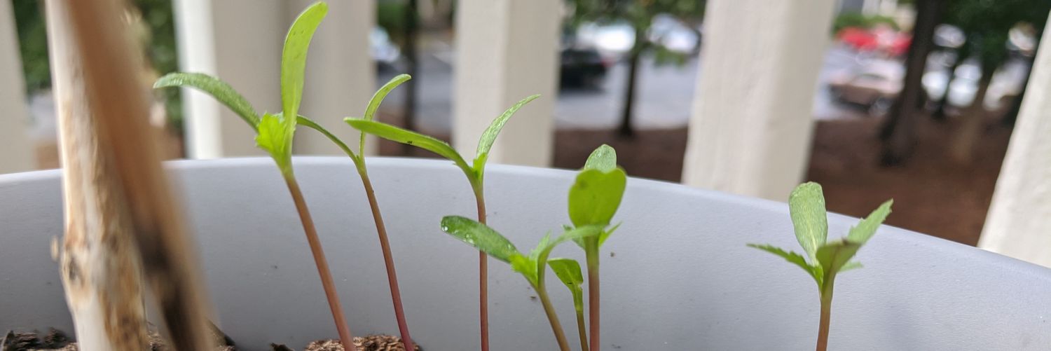 Eliot Halley Vrijmoet banner