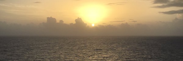 CecileRetrosi Profile Banner