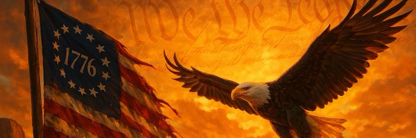 1776Mechanic Profile Banner