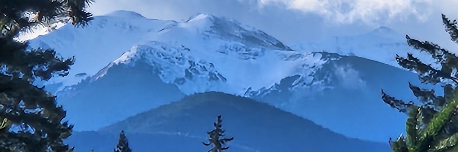 forest_bather's profile banner image